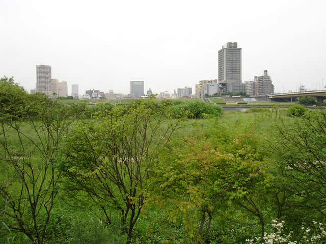 2010-06-24-059