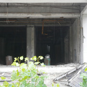 OLYMPUS-DIGITAL-CAMERA
