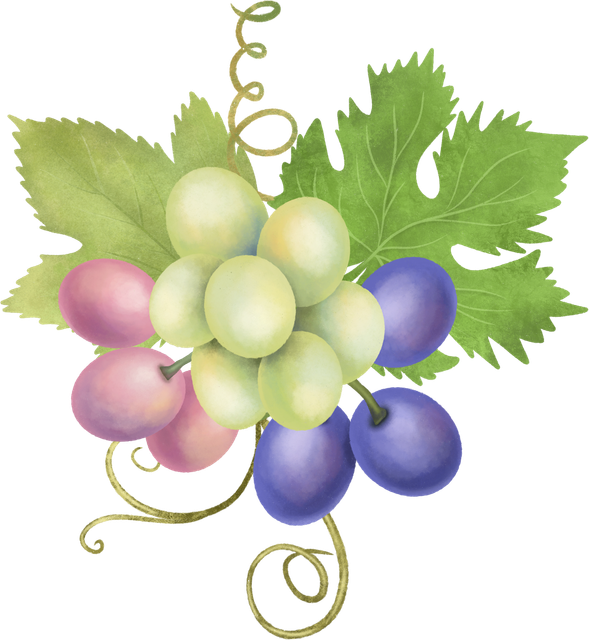 Bouquets-Compositions-15