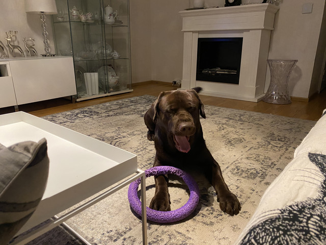 DC602-F03-AF0-E-40-F6-8674-11-CCF80-DCDB