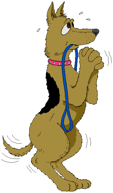 [Image: petbehavior-23.png]