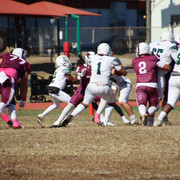 IMG-3130