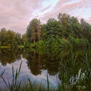 DSCF4370
