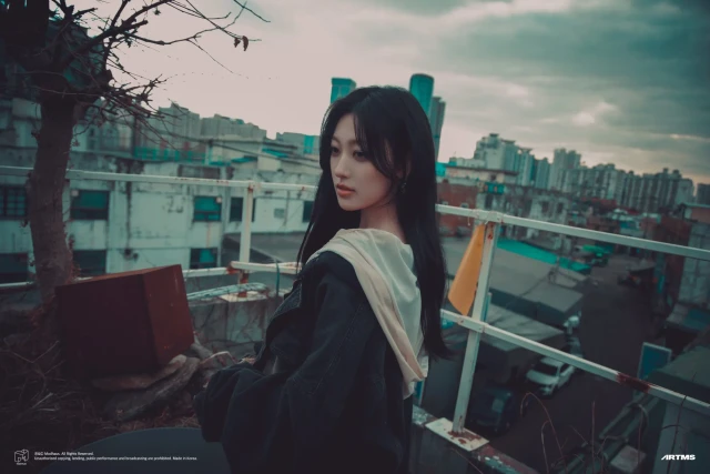 choerry loona 1377436.webp