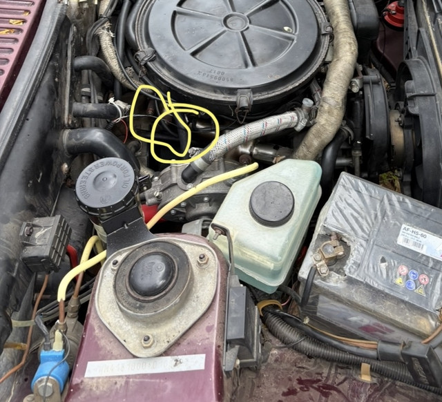 [Resim: MG-3506.jpg]