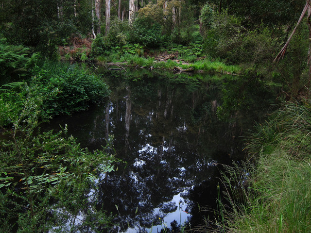 IMG-3835