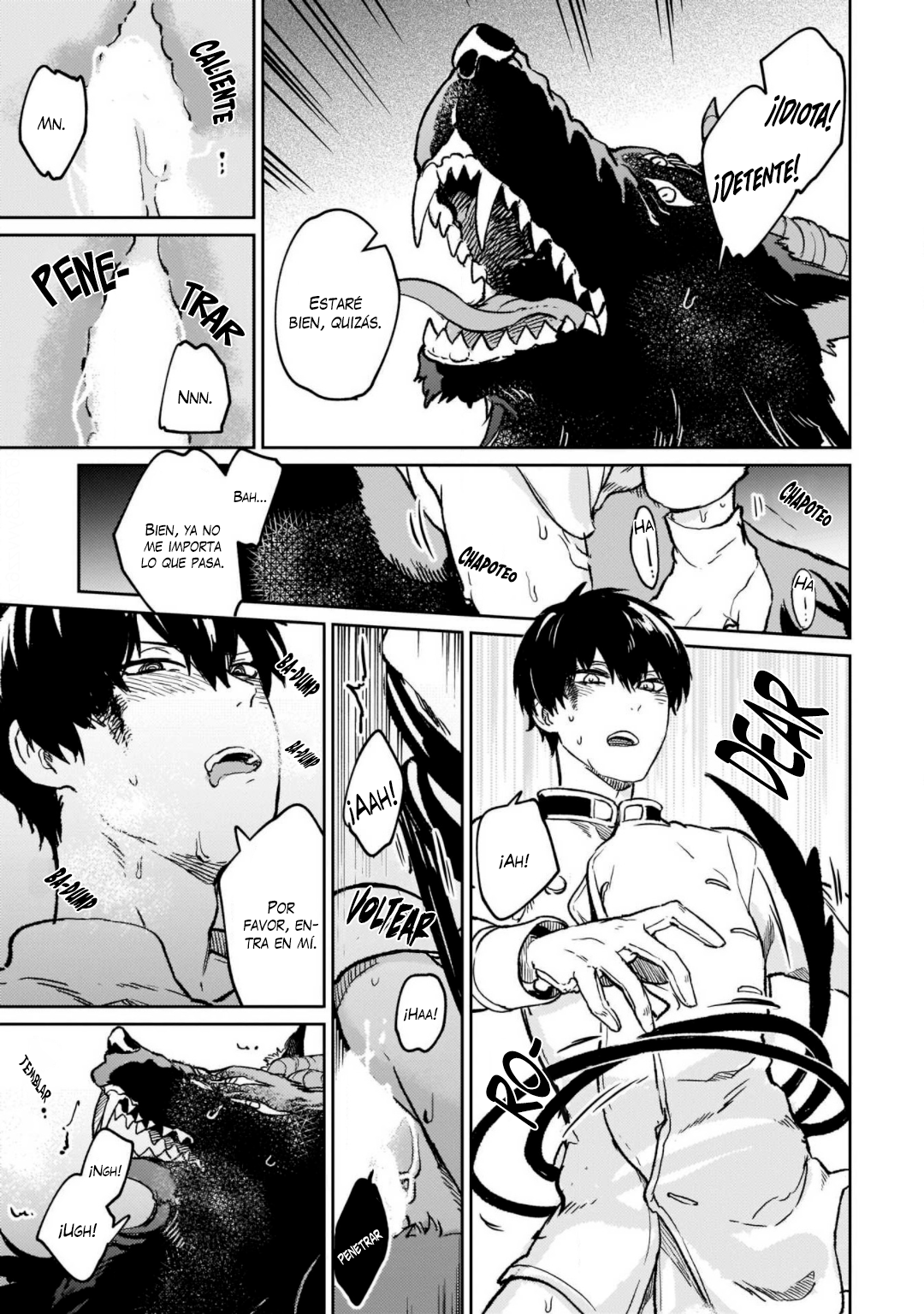 27-copia