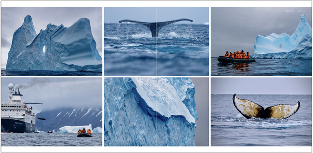 Antarctica-47-48