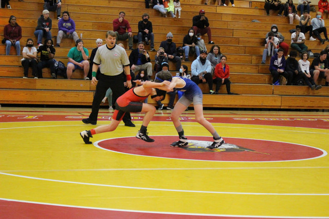 IMG-0248