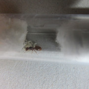 IMG-1243
