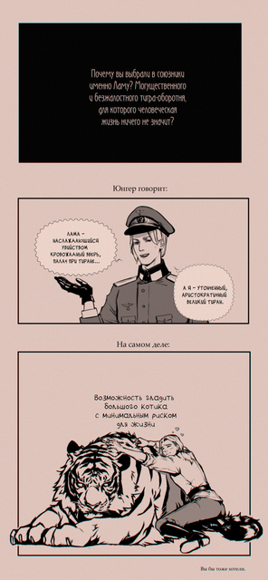 13-image