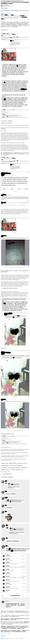 fakereports