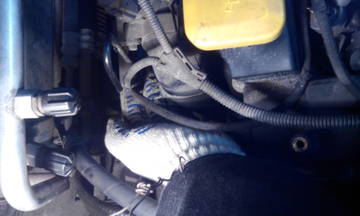 https://i.ibb.co/Kx0Z2YgG/ZG5Ed.jpg
