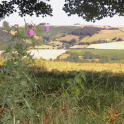 IMGP0234
