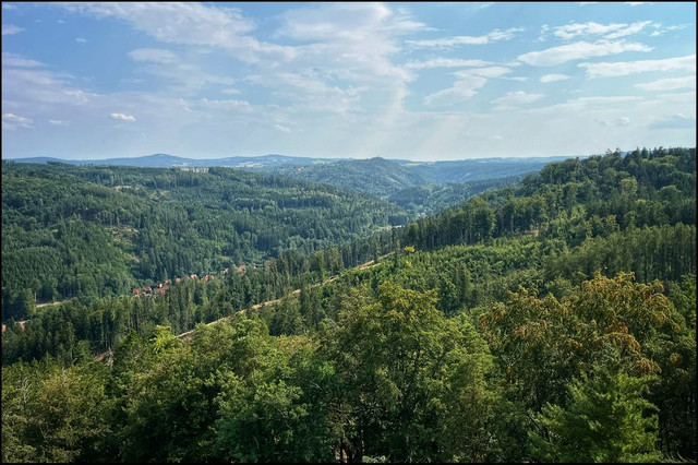 comp IMG 6372