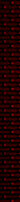 express.png