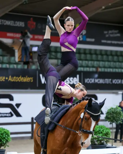 EQUINE VOLTIS77a