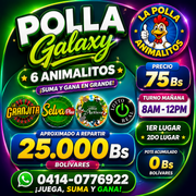 Polla Galaxy