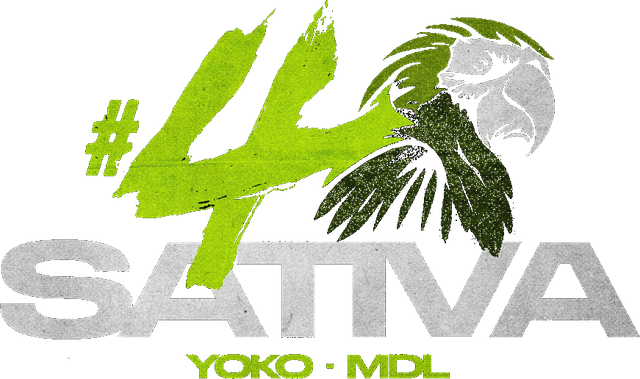 sativa4