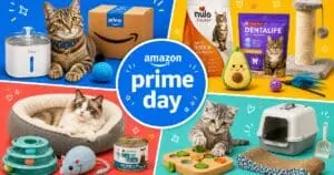 Cat Parents Score Early Prime Day Deals