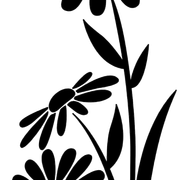c5d3274f0020c6697a8eec300b1c4cdf