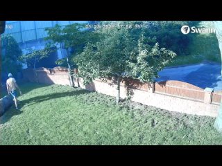 Metaverse Blue Whale App - 20260523-175447