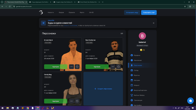 Screenshot 11