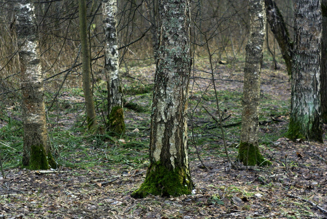 DSC8402-2.jpg