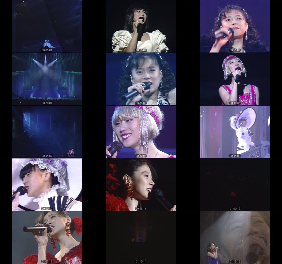 中森明菜 1991 Special Live 夢 ライブ J-POPアーティスト ライブブルーレイ Blu-ray
