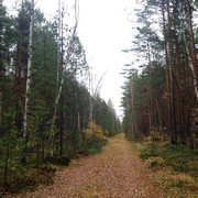 IMG-4461