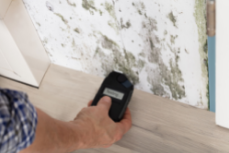 Attic-Mold-Removal-In-Toronto