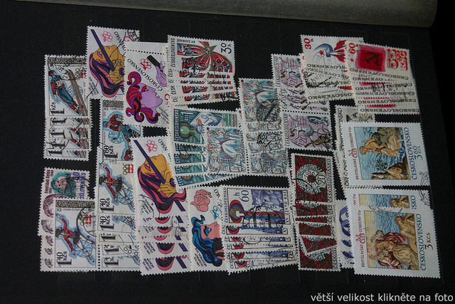 IMG-6890.jpg