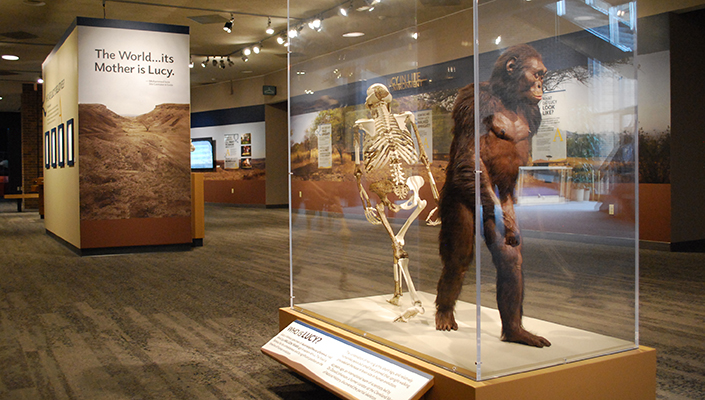 Museum exhibits at the National Museum