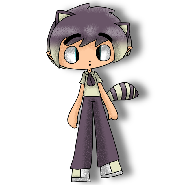 Raccoon
