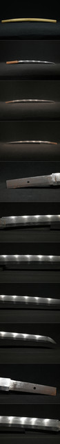 DSC0469.jpg