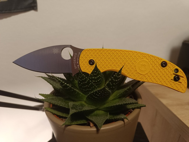 sage