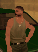 Poto-csss.png