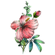 shutterstock 1775992208