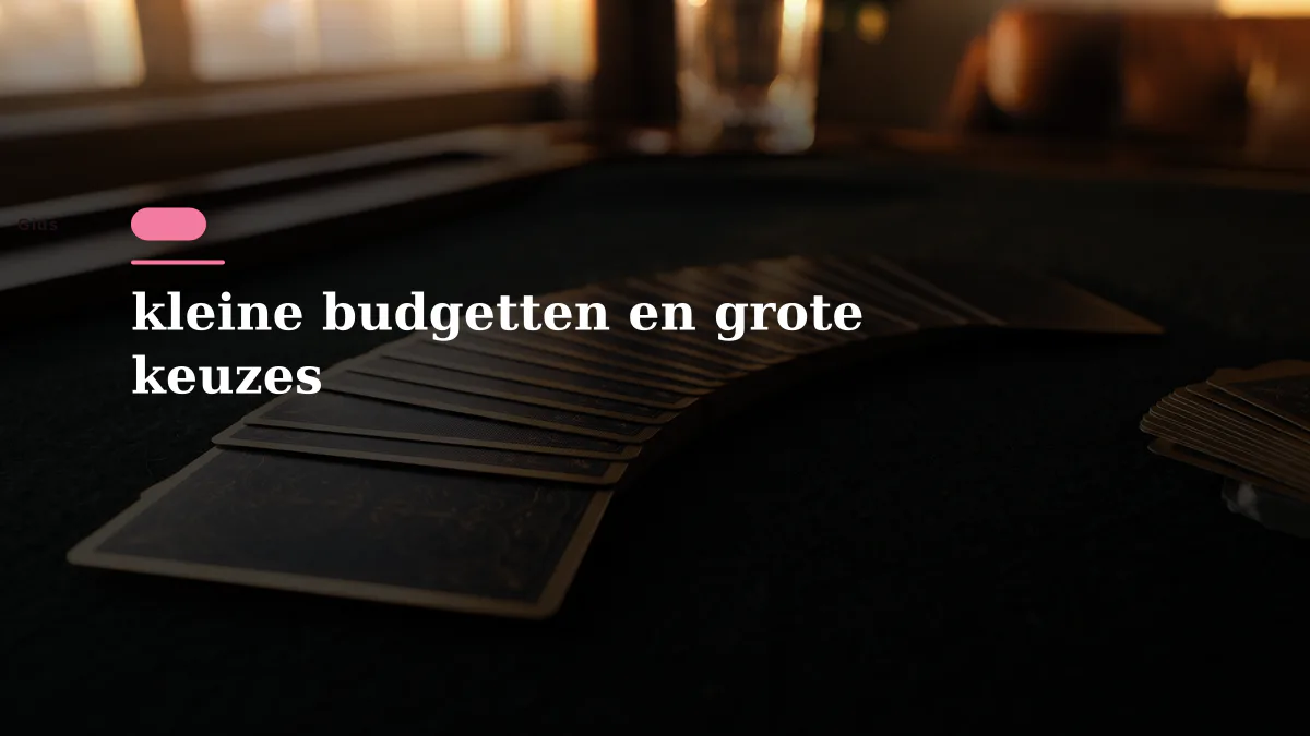 kleine budgetten en grote keuzes
