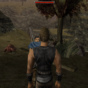 Walkthrough 07