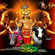 NEW KOVIL THIRUVIZHA FLEX - 5