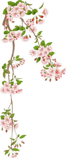 dbb74c2d366f8e919a88d27104167bb1.png