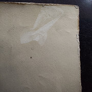 36 (2)