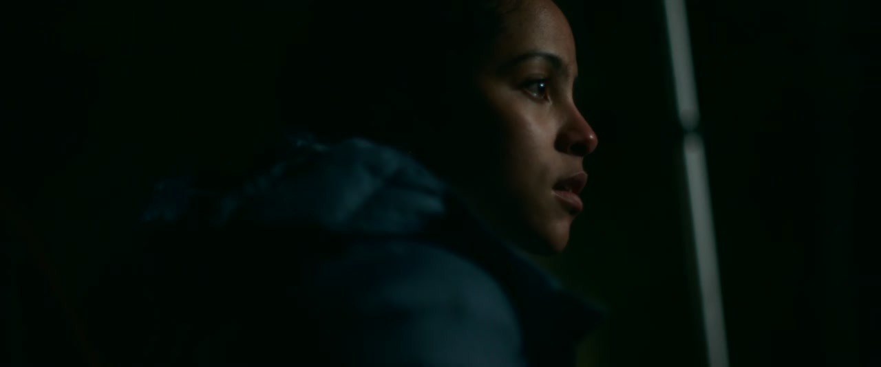 Passenger Screenshot