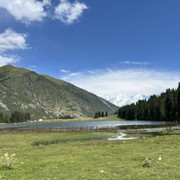 comp-IMG-4154