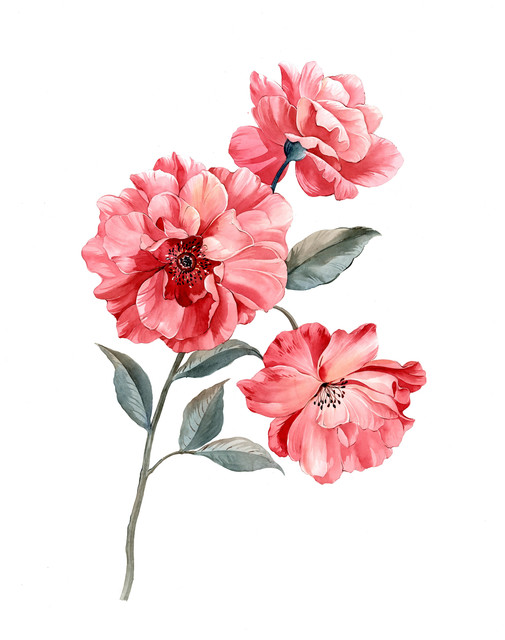shutterstock 1979933150.jpg