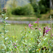 DSC7166