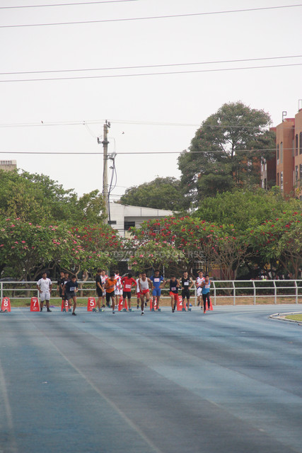 IMG-0135.jpg