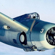 Wildcat