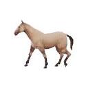 Horse logo